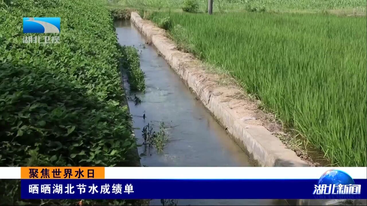 聚焦世界水日丨晒晒湖北节水成绩单