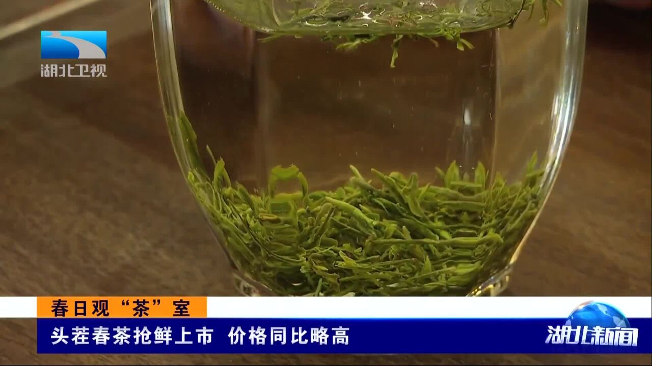 春日观“茶”室 头茬春茶抢鲜上市 价格同比略高