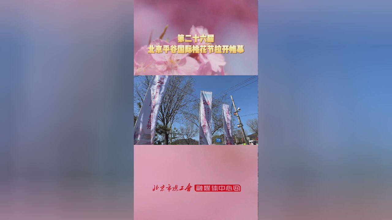 第二十六届北京平谷国际桃花节拉开帷幕