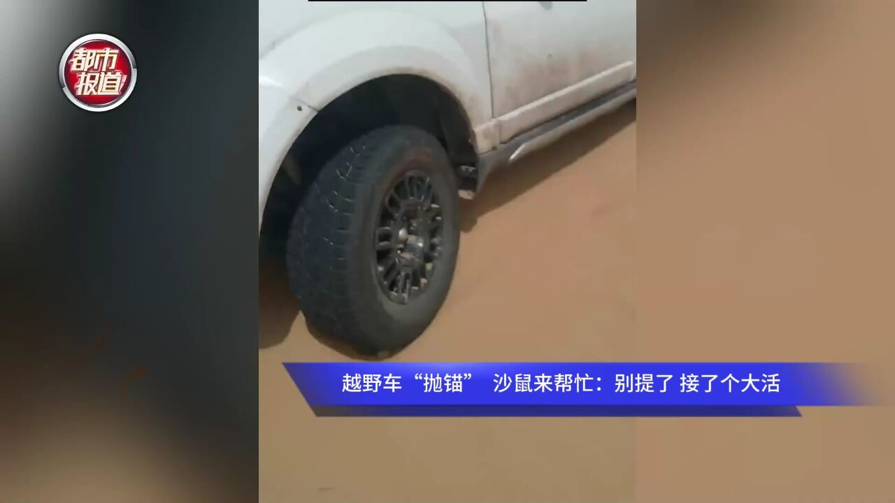 越野车“抛锚” 沙鼠来帮忙:别提了 接了个大活