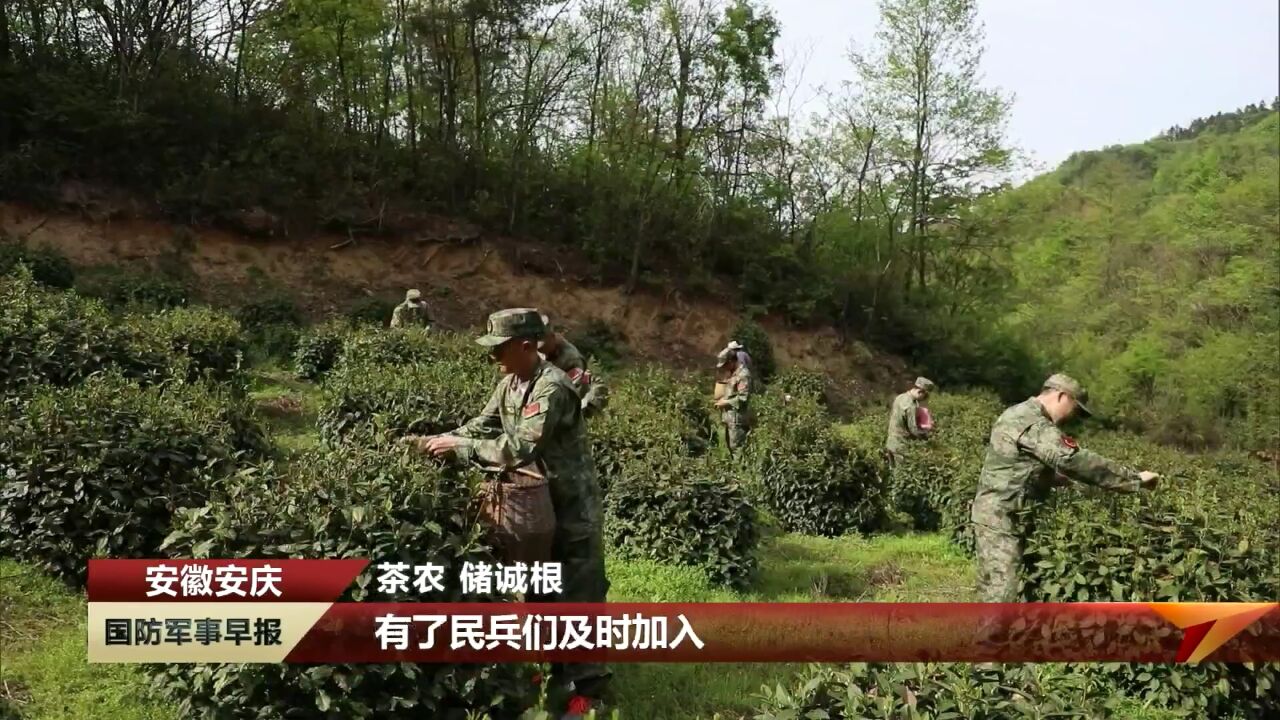 抢抓农时 基干民兵深入一线助力春耕