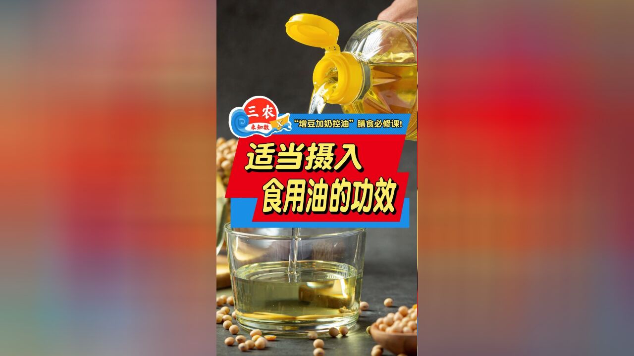 适当摄入食用油的功效