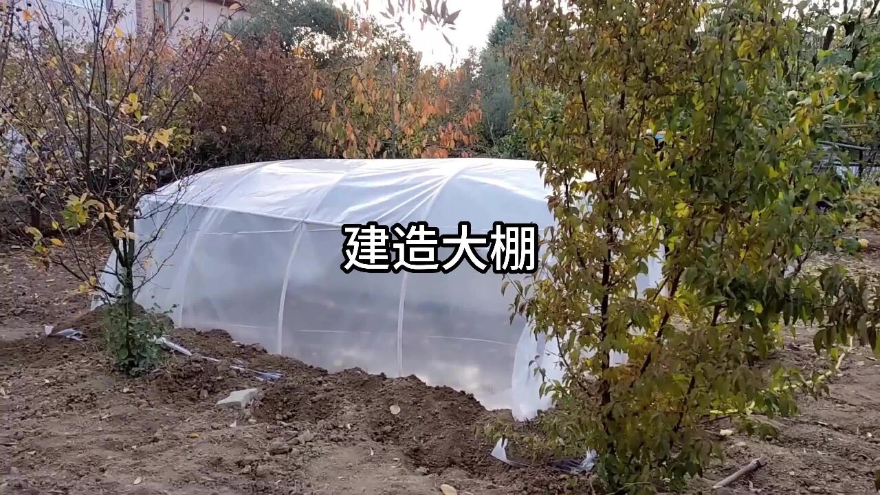 如何在家搭建低成本高效率大棚