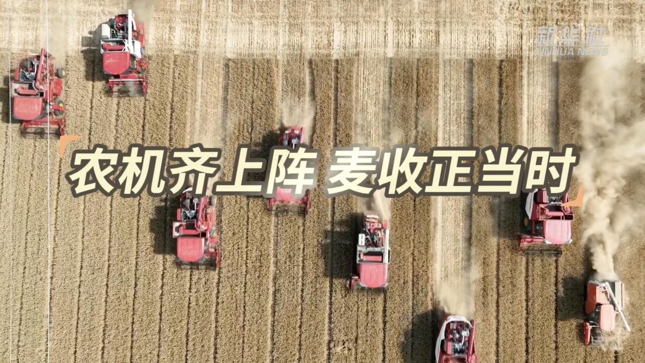 麦收故事|农机齐上阵 麦收正当时