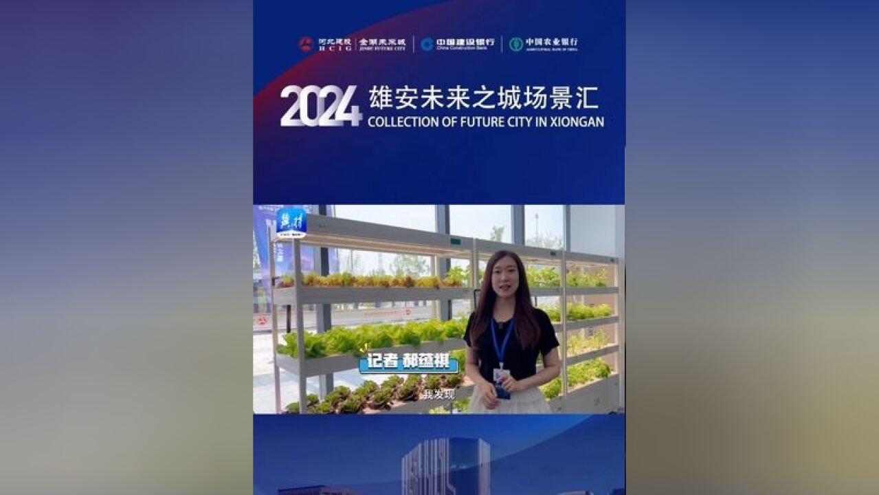 【2024雄安未来之城场景汇】令人惊叹的农业!不靠天地的“植物工厂”为乡村振兴注入新动能