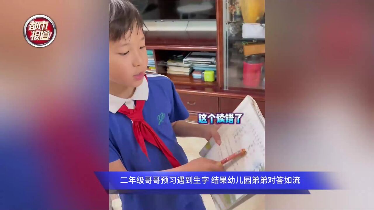 危机感来了!二年级哥哥预习遇到生字 结果幼儿园弟弟对答如流