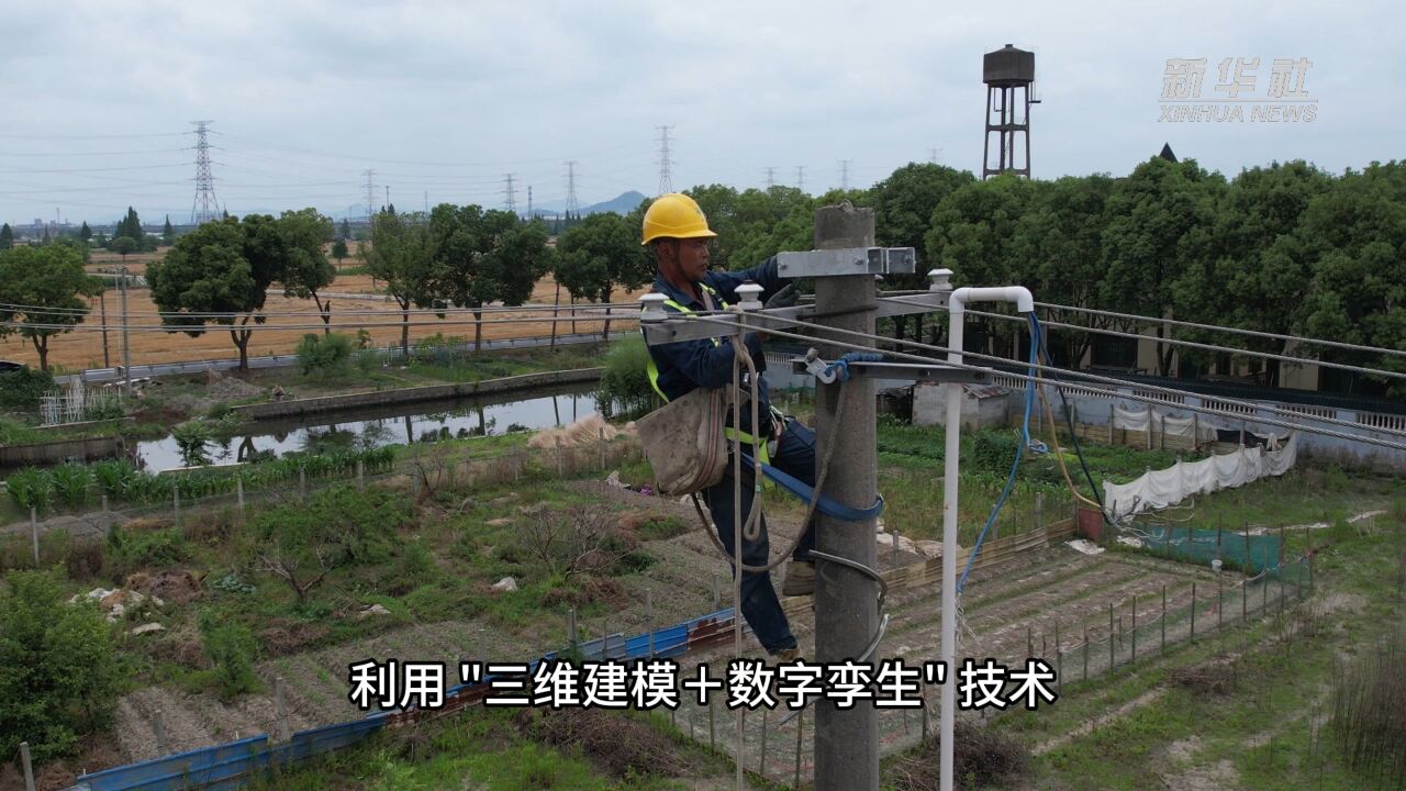 浙江绍兴|电杆迁改助力“滨海大粮仓”机械化作业