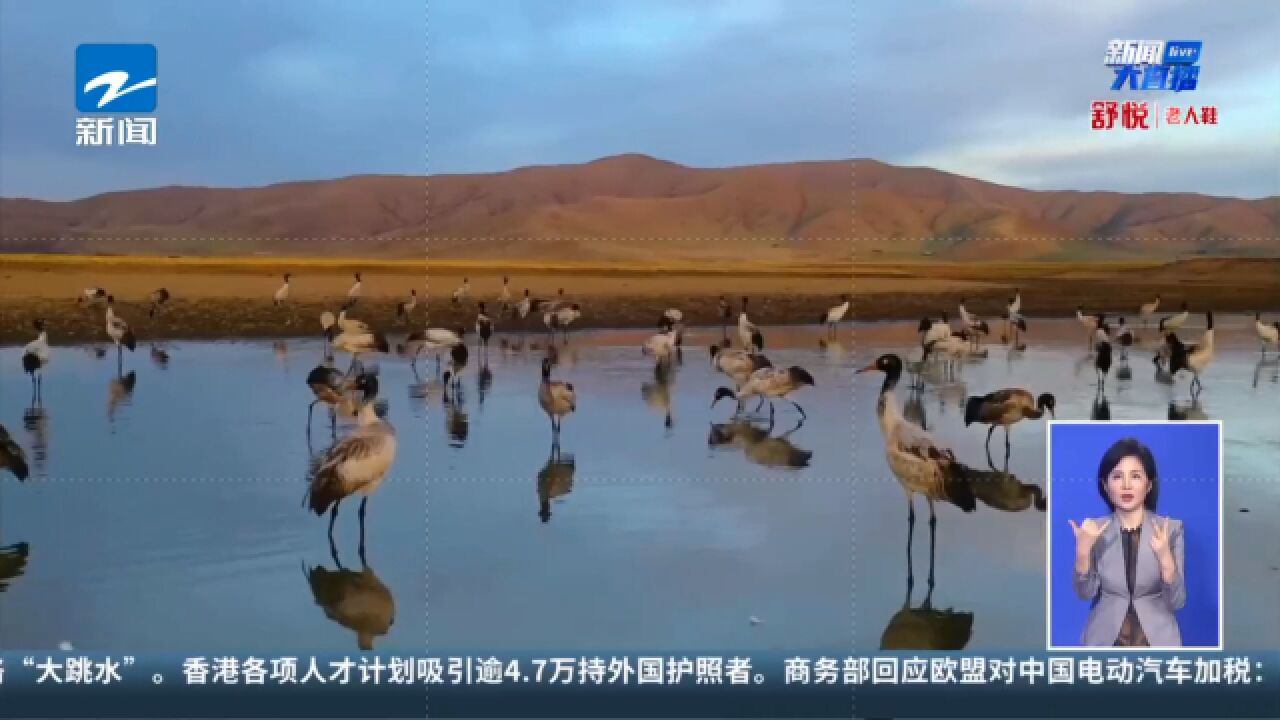 浙江七市市民免费游九寨沟 熊猫家园阿坝来杭推介