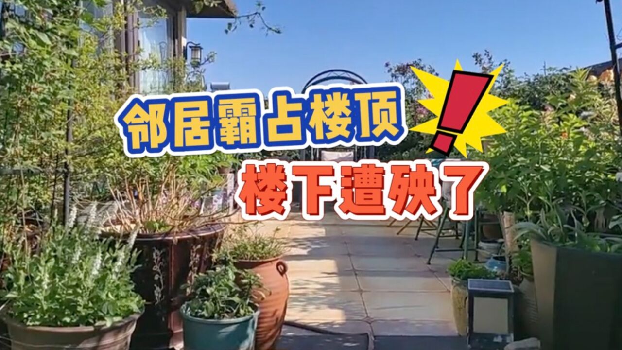 邻居霸占楼顶变私人花园 楼下家中严重漏水遭殃了!