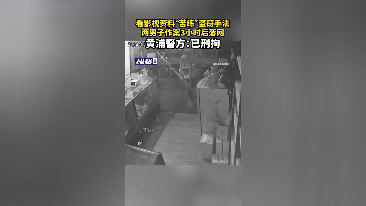 看影视资料“苦练”盗窃手法,两男子作案3小时后落网