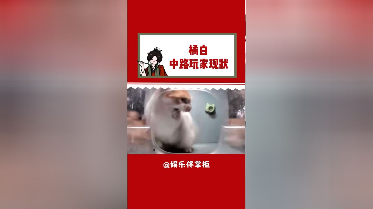 橘白:谁懂我的无助!