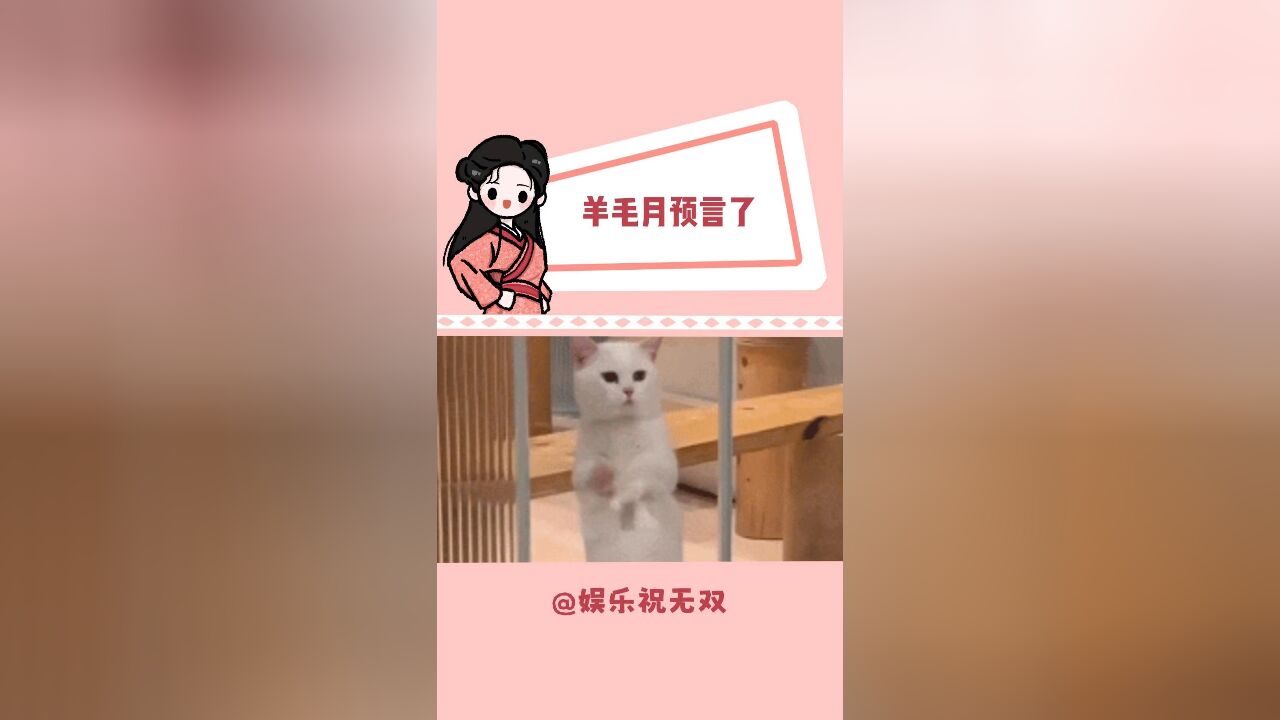 人设塌是易如反掌的事情