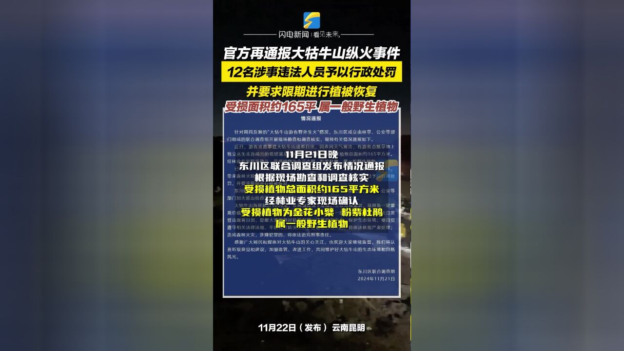 官方再通报大牯牛山纵火事件 12名涉事违法人员予以行政处罚 并要求限期进行植被恢复