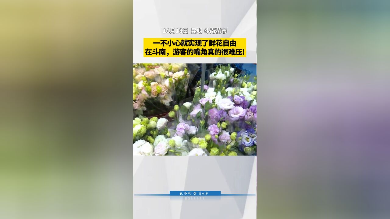 一不小心就实现了鲜花自由!在斗南,游客的嘴角真的很难压