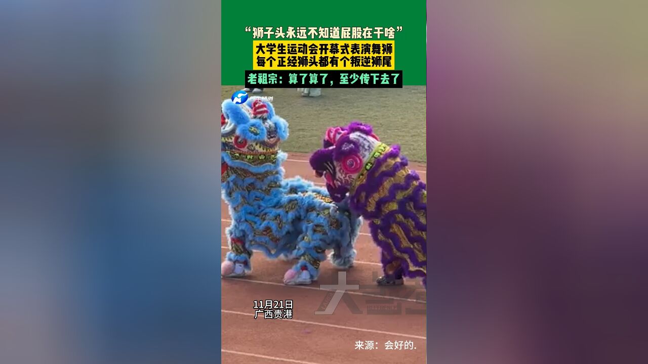 11月21日,广西贵港,“狮子头永远不知道屁股在干啥”大学生运动会开幕式表演舞狮,每个正经狮头都有个叛逆狮尾,老祖宗:算了算了,至少传下去了