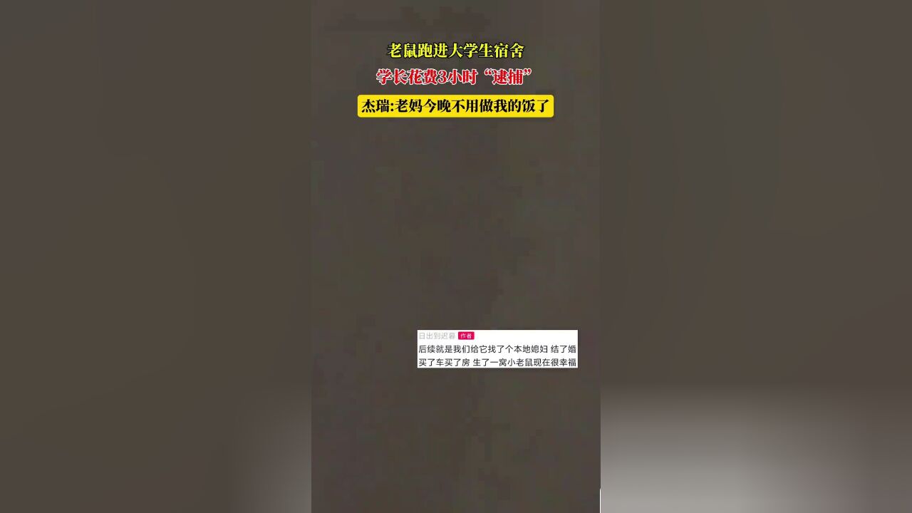 老鼠跑进大学生宿舍,学长花费3小时“逮捕”,鼠鼠:再见了妈妈今晚我就要远航