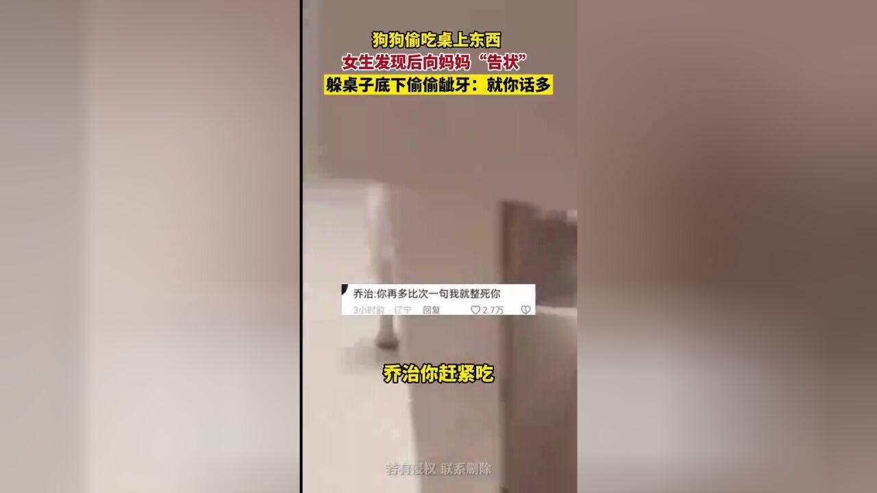 狗狗偷吃桌上东西 女生发现后向妈妈“告状”,躲桌子底下偷偷呲牙:就你话多