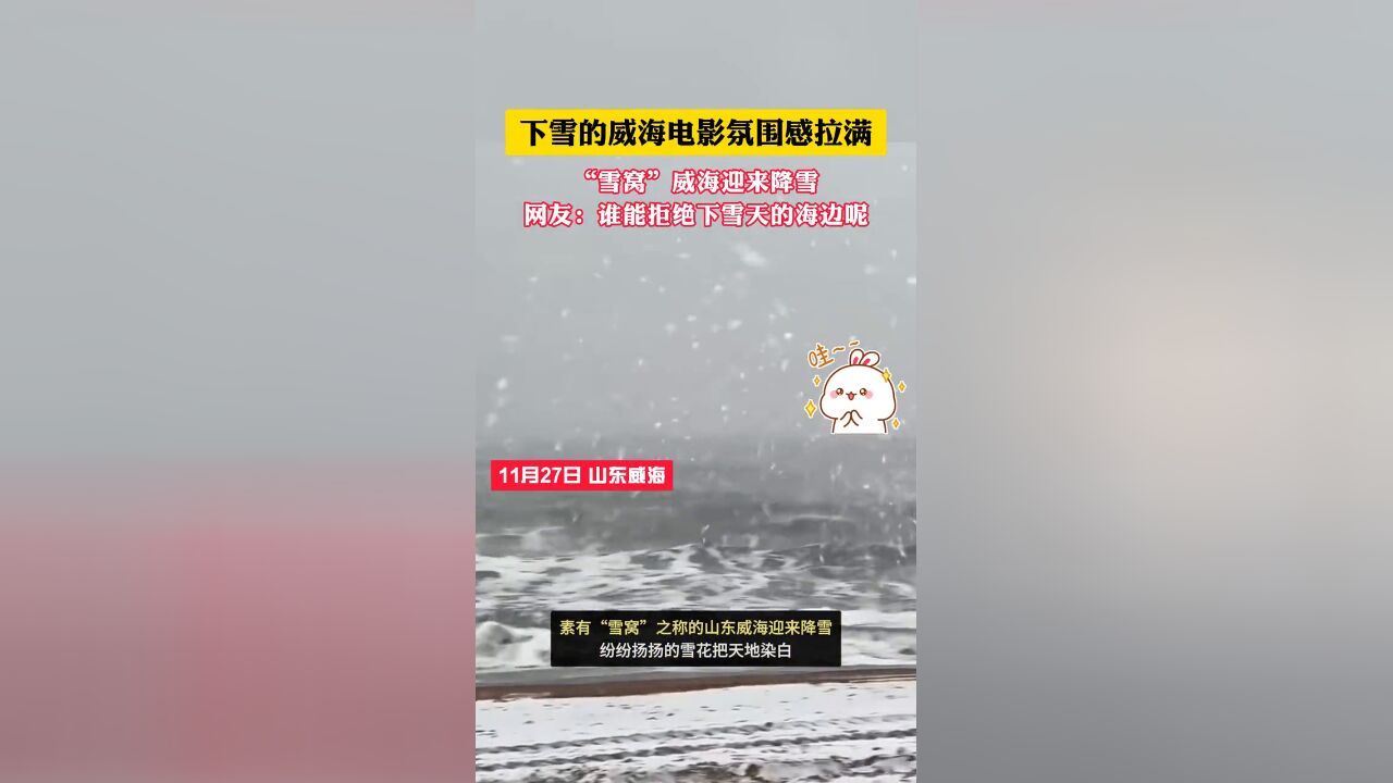 “雪窝”威海迎来降雪,网友:谁能拒绝下雪天的海边呢