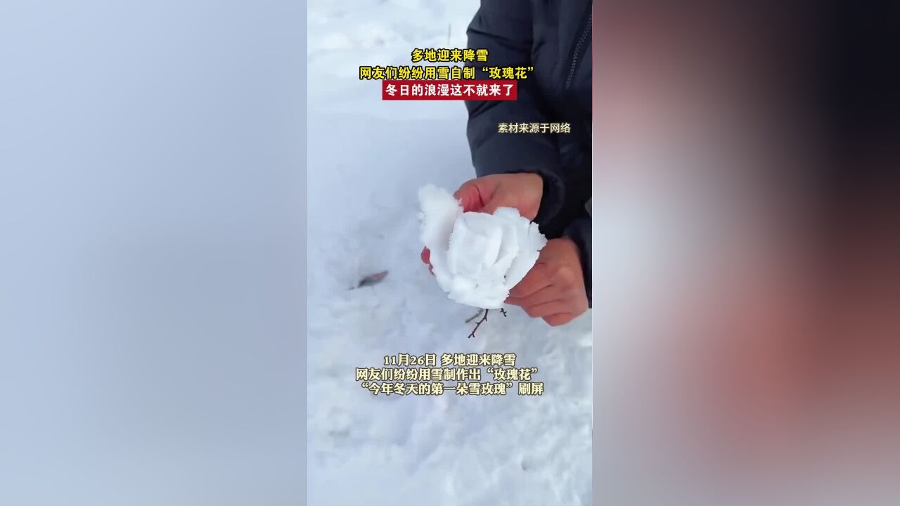 多地迎来降雪,网友们纷纷用雪自制“玫瑰花”,冬日的浪漫这不就来了