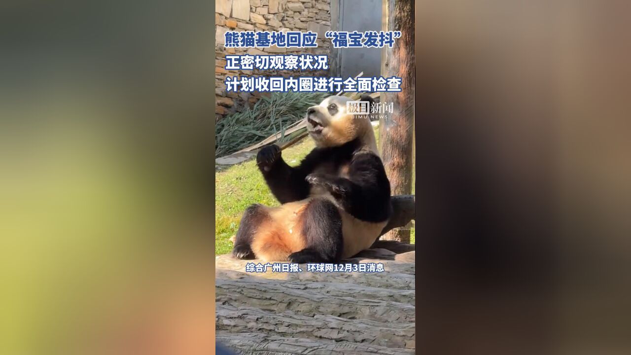 中国大熊猫保护研究中心回应“福宝发抖”