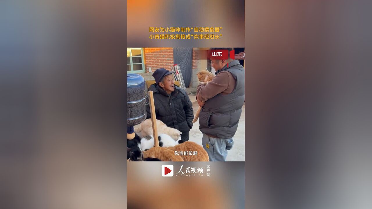 网友为小猫咪制作“自动喂食器”,小猫积极掏粮成“炊事班班长”