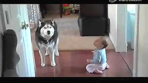 儿童搞笑视频 逆天的小狗学宝宝说话 太逗了