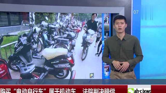 北京 购买“电动自行车”属于机动车 法院判决赔偿