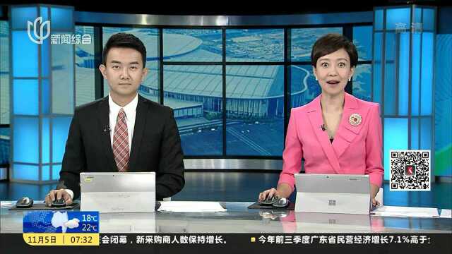 跨国电子巨头齐聚进口博览会“预见”未来智能生活