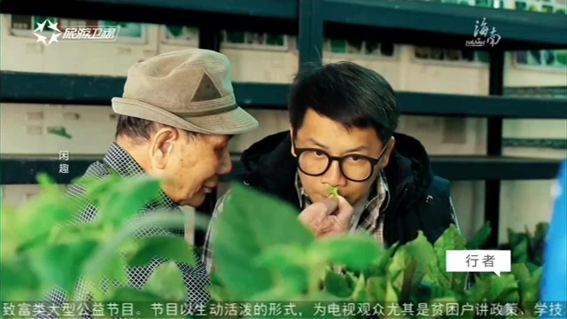 许杰辉:面具下的人生