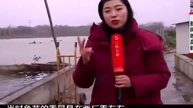 南昌县岗上镇:精细化养好鱼