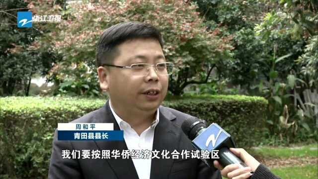 青田 打好“侨牌” 发力“开放经济”