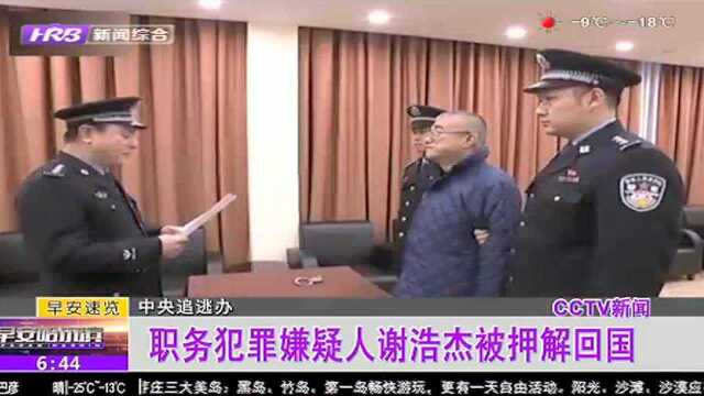 中央追逃办 职务犯罪嫌疑人谢浩杰被押解回国