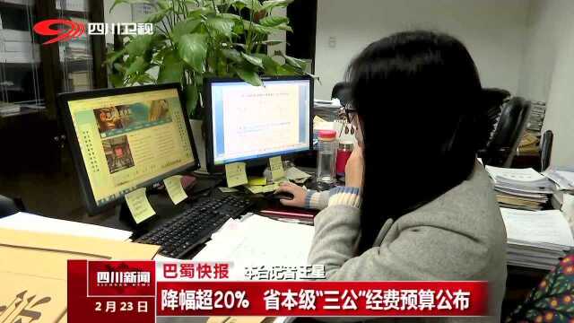 降幅超20%省本级“三公”经费预算公布