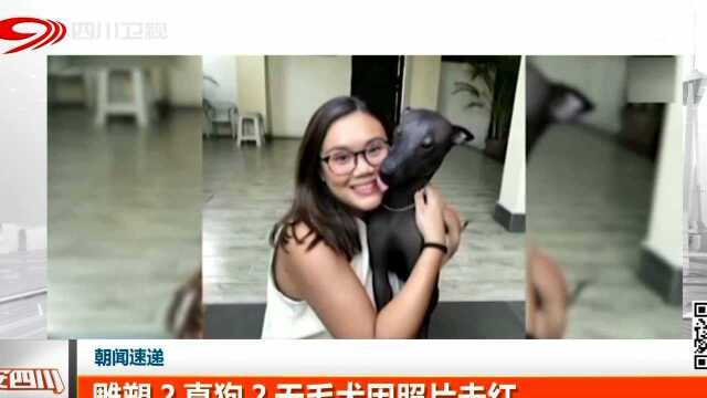 朝闻速递 雕塑?真狗?无毛犬因照片走红