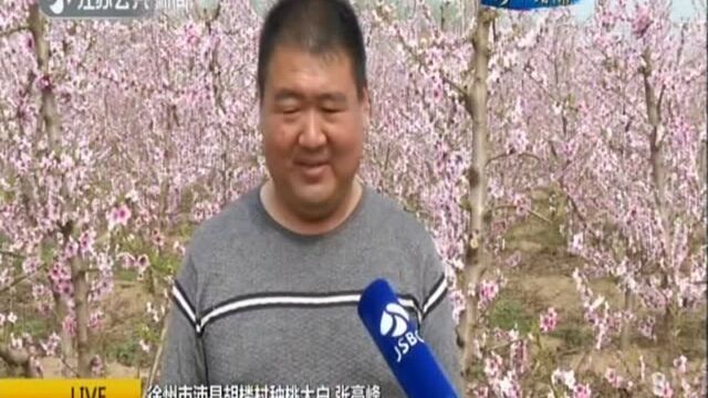 提升产业品质 提高质量效益:沛县胡楼村打造现代农业“大花园”