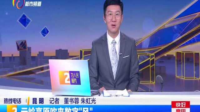 云岭高原吹来数字“风”