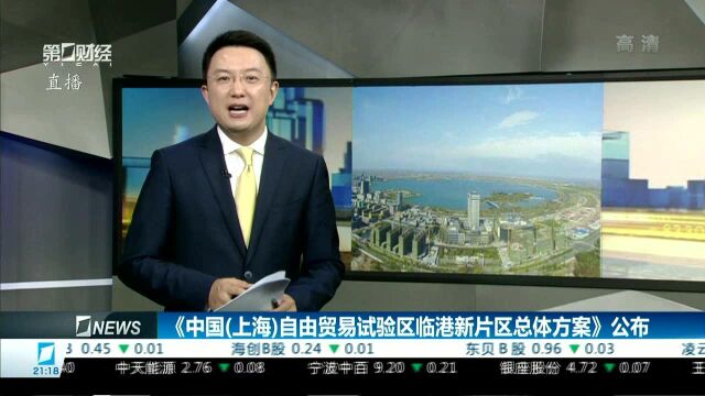 《中国(上海)自由贸易试验区临港新片区总体方案》公布