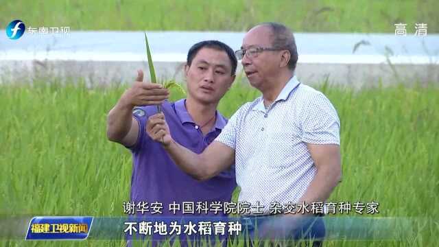 时代新人 谢华安:矢志不渝“一碗饭的理想”