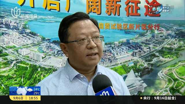 临港一线观察:量身定制创新服务 金融业无缝对接新片区