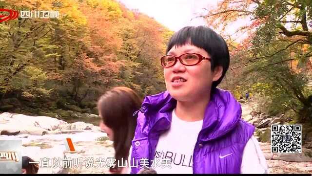 木叶映天红 光雾山迎来红叶最佳观赏期