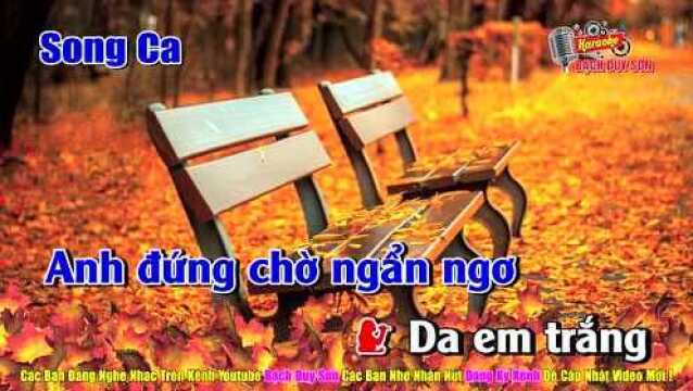 T㬮h Em Xứ Quảng  Song Ca