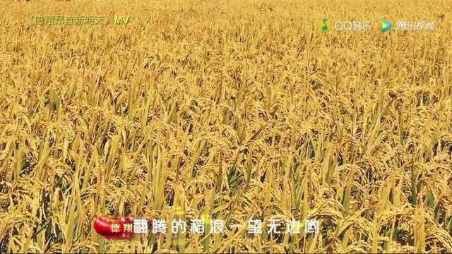 德翔昂首新明天