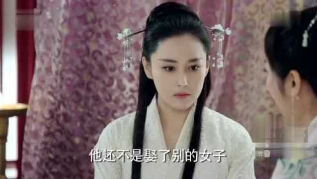 思美人40精彩片段