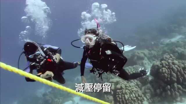 PADI开放水域潜水员潜水教学视频 OW第四单元