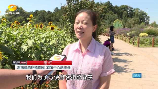 省森林植物园喊您来踏“秋”,呼吁文明游园