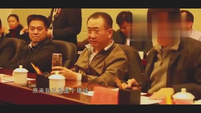 贵州王建林花了十多亿元扶贫,当地县长也提出了恶劣的条件.