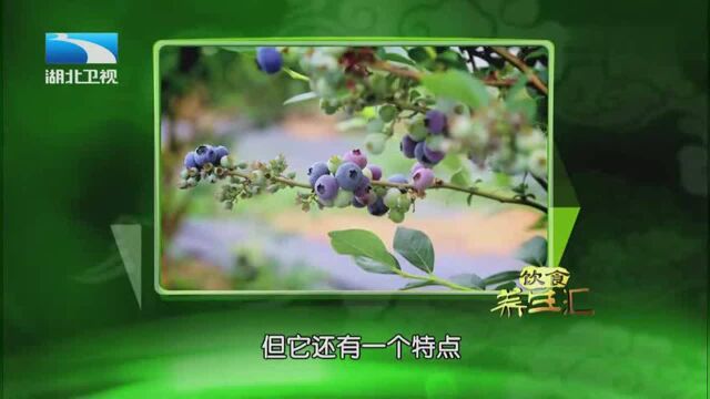 蓝莓营养价值特别高,多吃富含花青素水果能够帮助你抗氧化