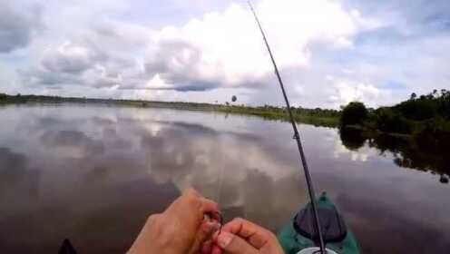 钓鱼视频：鱼小吃口很猛！ - 腾讯视频