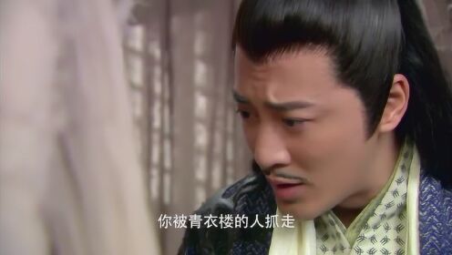 Thumbplayer Poster Plugin Image