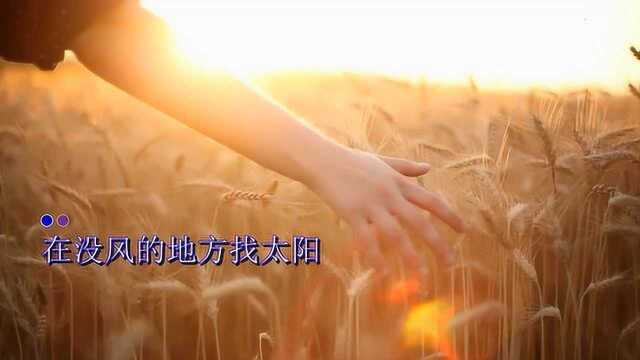 往后余生 全部都是你我只要你好听的MV,快手抖音流行歌曲